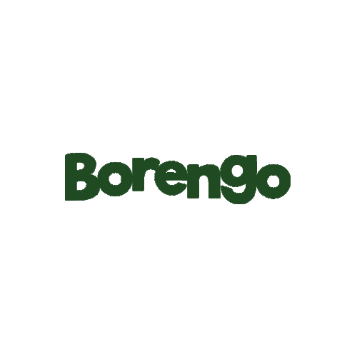 BorengoCasino