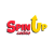 SpinUp Casino